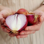 L'oignon est-il bon pour le diabète?  Décoder les faits - Blog