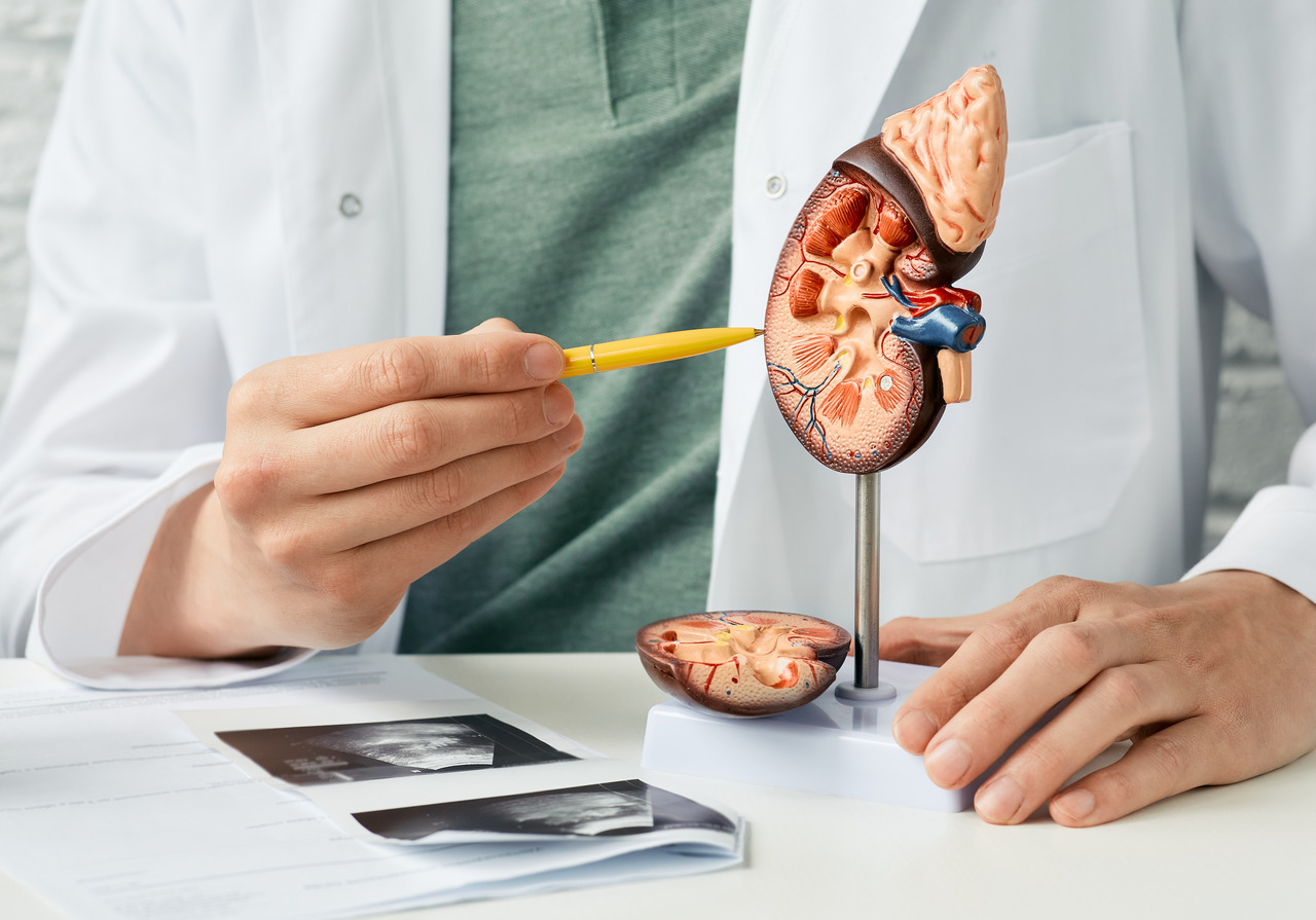 Qu'est-ce que l'acidose métabolique?  Un guide détaillé - Blogue