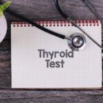 Test thyroïdien : qu'est-ce que c'est et pourquoi est-ce important ?  - Blog
