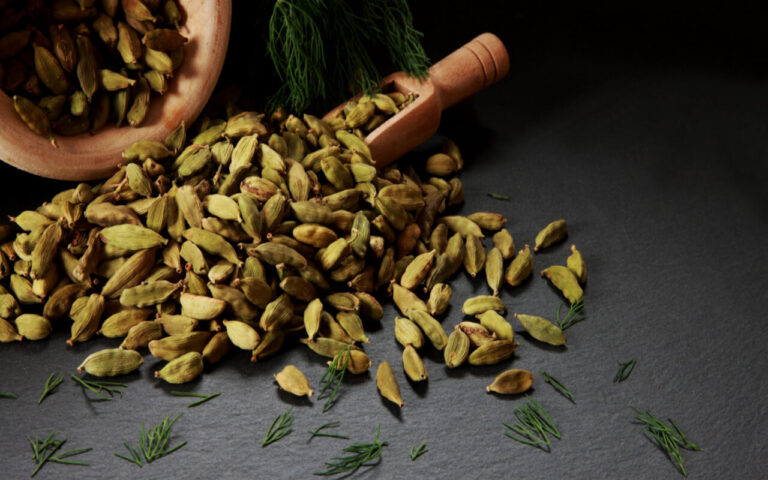 Cardamome – Bienfaits, Valeur nutritive, Recettes