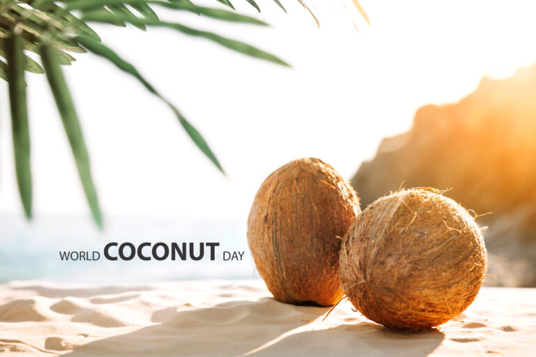 Journée mondiale de la noix de coco 2022