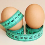 Les œufs sont-ils bons pour perdre du poids ?  Découvrir.  - Blog