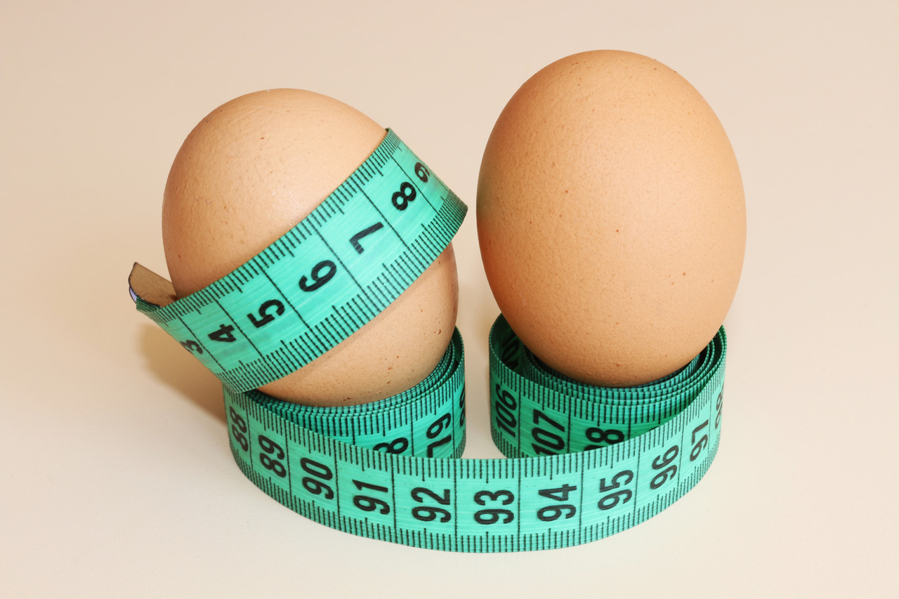 Les œufs sont-ils bons pour perdre du poids ?  Découvrir.  - Blog