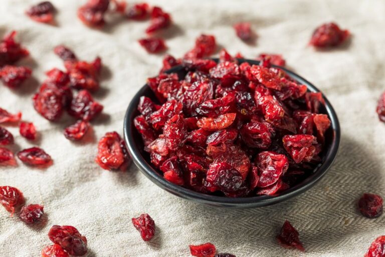 Canneberges séchées – Avantages, nutrition et recettes