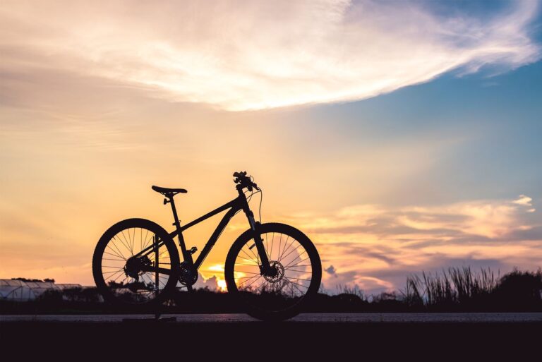 Journée mondiale du vélo et nutrition