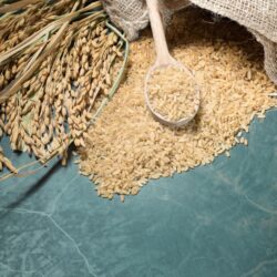 Le riz brun est-il bon pour les diabétiques ?