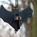 Géocaches insolites découvrez les trésors cachés de l'été