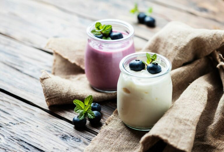 Comment choisir le meilleur yaourt pour une alimentation équilibrée ? Notre guide